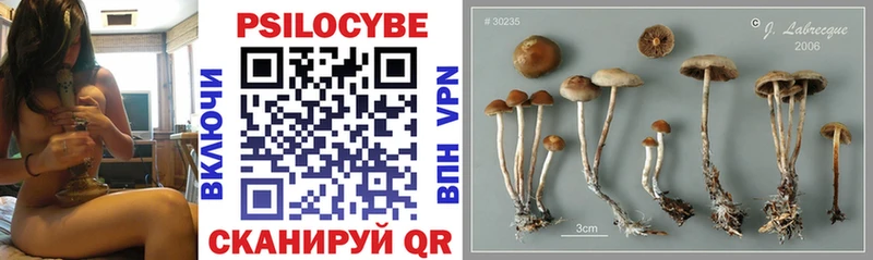 Псилоцибиновые грибы мицелий  Купить закладки  Вилюйск 